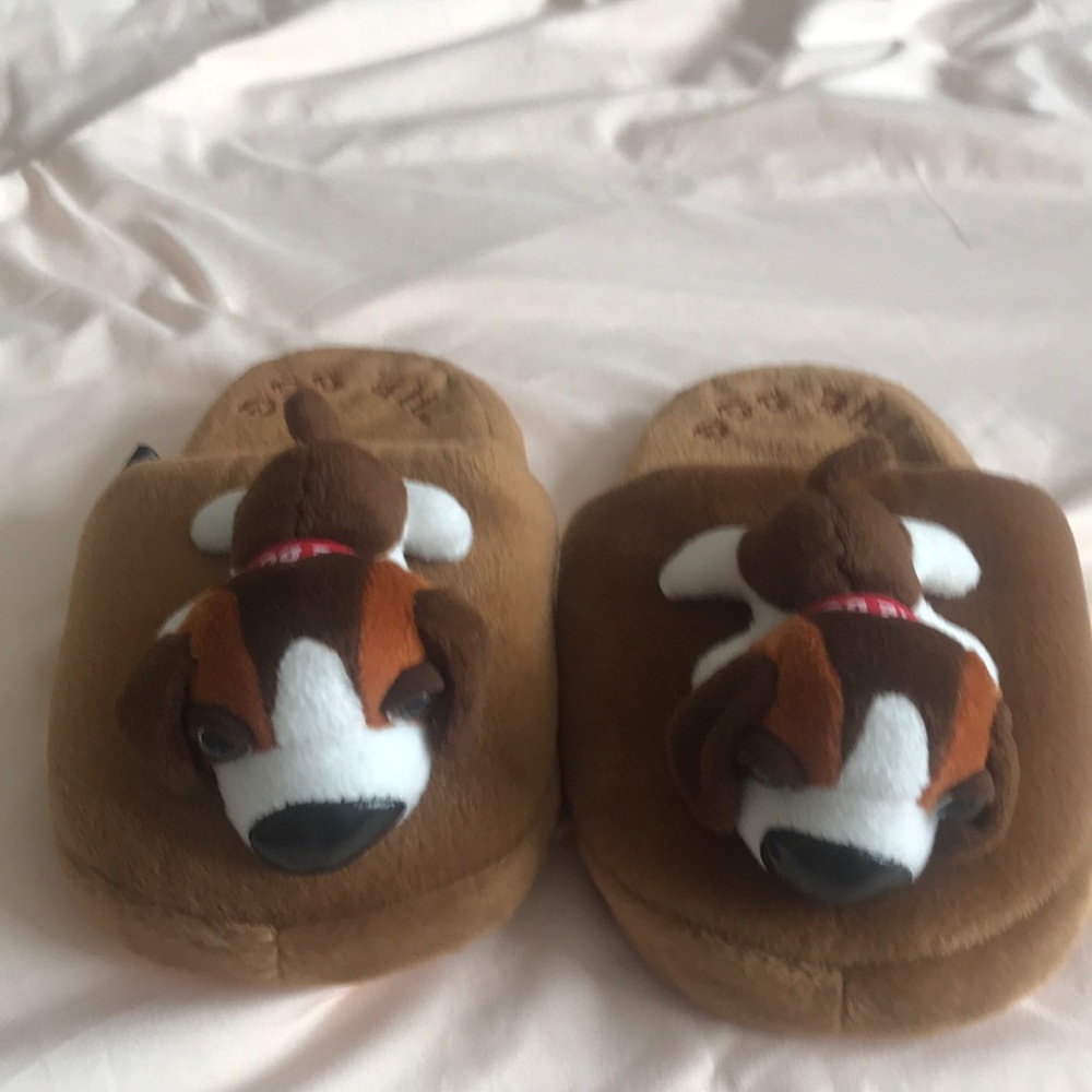 Slipper - dog